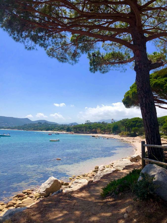 Marina Di Pinarello, Appt Climatise A 400M De La Plage Zonza Exterior photo